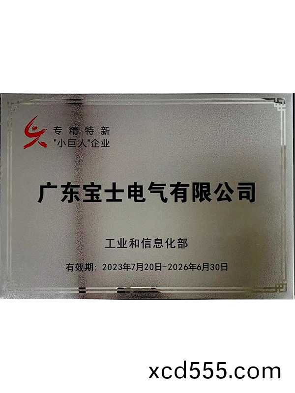 Specialized and innovative “Small Giant” enterprise Specialized and innovative “Small Giant” enterprise
